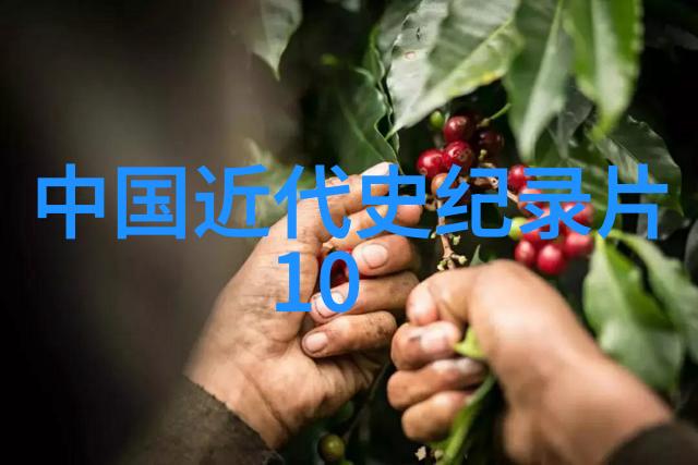 近代卷132奥斯特里茨之战